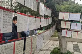 揭秘宁波相亲角 | 那些被“妖魔化”的相亲条件图片