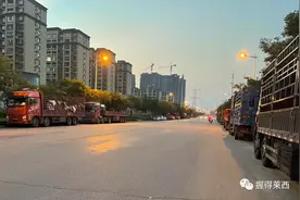 大货车组队“霸占”停车位！网友“反映多次没有效果”图片