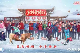 《乡村爱情13》——象牙山顶级男团的故事图片