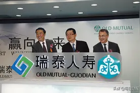 瑞泰人寿再被监管层点名 成立十六年几无盈利图片