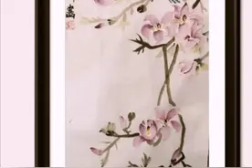 伯劳鸟（又称屠夫￼鸟）图片