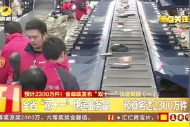 湖南省“双十一”快递业务量，预算将达2300万件，较去年增长40%视频封面