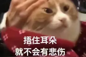 酸了！这家公司给40名员工每人奖一辆车，总价值1500万！还有一家送了39辆宝马…图片