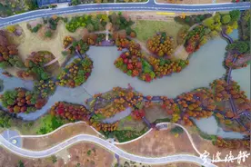 进入色彩斑斓季，宁波这处“水上森林”惹人醉图片