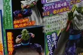 S.H. FIGUARTS/SHF 龙珠 短笛/比克 2.0版 定价6,000日币图片