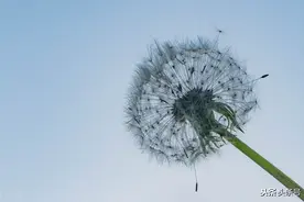 最好的老师图片