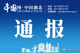 一个多月两度被纪委通报！来凤县住建局党组书记、局长向兴祥等人违规进行政府项目采购被处党内警告图片
