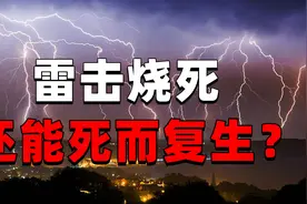 2003年安徽村民遭雷击烧死，入土两年后死而复生，警察：死者是谁图片