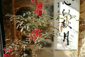 散文：岁月忽已晚，人生已立秋图片