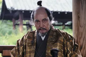 元和偃武：德川家康是如何开创这个日本历史上最长和平时代的？图片