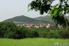 地主的孙辈们走在了富裕生活的前列，是不是头脑灵活的基因起作用图片