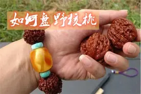 注意“四要”，做到“八玩、八怕”，你也能盘好野核桃图片
