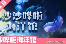 2020年太原华宇百花谷沙沙哗啦海洋馆开放了（附表演时间）图片