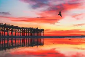 椰树大海，黄昏美景图片图片