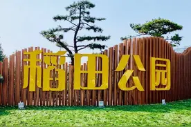稻田公园恢复开放了，门票免费，停车也免费图片