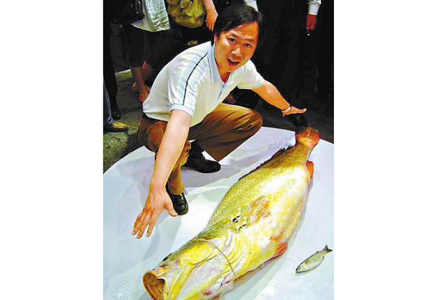 全世界最贵的食材 2026年全世界最贵的食材排名
