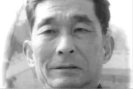 天地一沙鸥，永远栖息在南山图片