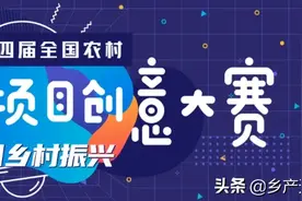 做农村双创的金融助推器，为乡村振兴添动力图片