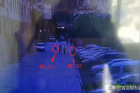 遛狗不栓绳咬伤邻居，狗主人拒绝沟通？官方回应：责令当事人接受询问调查图片