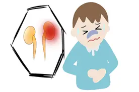 肌酐水平高，就是肾坏了吗？肌酐升高后，饮食要注意什么？图片