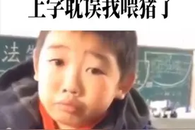 小学生不想上学！只因上学耽误喂猪图片