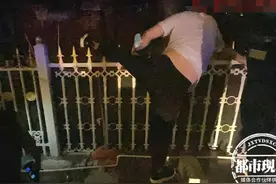 深夜翻围栏偷摘芒果！男子腿被直接刺穿，被挂围栏动弹不得图片