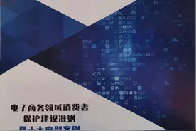 《电子商务消费者保护建议准则》发布倡议提高电子商务消费者保护水平图片