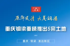 重庆铜梁淮远新区重磅推出5宗土地图片
