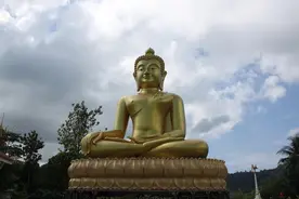 佛法感悟：懂得顺其自然的人，才是真活明白了图片