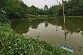 家长们警惕！3名孩子溺水身亡！不会游泳却私自溜进池塘图片