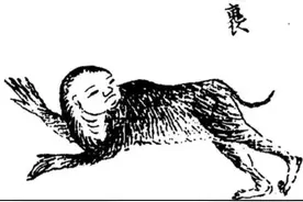 #关于《山海经》南次二经尧光山猾褢原型图片