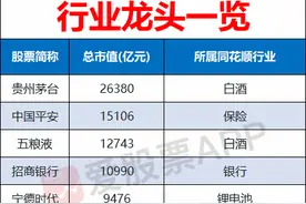 500亿市值以上的行业龙头股一览图片