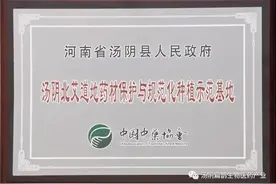 千年传承汤阴北艾图片
