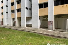 若去过新加坡这座巴刹，请赶快去接受免费检测图片