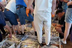 宁波市民有口福，透骨新鲜的“东海第一网”来了！超300吨，量大价格还便宜图片