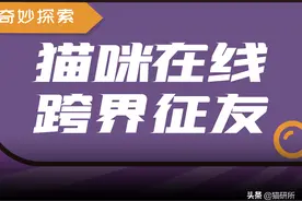 养了猫，还能养狗/乌龟/兔子/鹦鹉…吗？图片