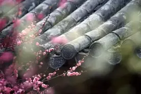 以为来日方长，谁知，老得猝不及防图片
