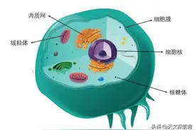 引力产生的假说，也许是真的如此魔幻图片