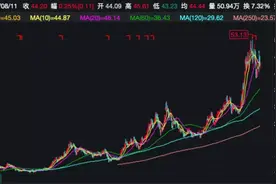 “最牛散户”张勇一只股浮盈25亿！葛卫东、赵建平最新持仓也曝光图片