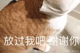 口罩猫 防护做得够不够 看这个图片