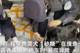 缉毒犬从物流车中咬出藏毒百香果 共查获冰毒185.2克图片
