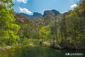 中国极适合自驾的县城，连山村都是景区，夏天舒服到不想走图片