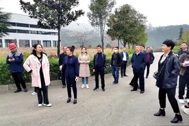 安康市产业项目建设集中采访活动（二）旬阳：以高质量项目建设支撑市域经济高质量发展图片