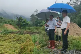 云城区各级领导班子深入基层一线实地指导疫情防控和防风防汛工作图片