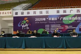 2020年"平果杯"广西青少年拳击锦标赛在平果市开打图片