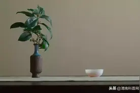 生活，浓淡相宜；人心，远近相安图片