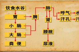 中医：津液的含义都有哪些？分类情况如何？图片