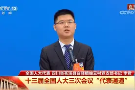85后四川小伙辞去高薪工作回家乡，如今带着全村希望上两会图片
