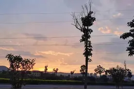 哎，差一点我们就结婚了图片