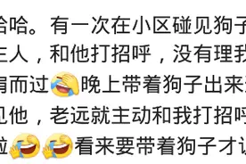先认狗后认人，我们家狗子成了出入通行证，远比我刷脸来的实际图片